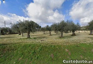 Terreno  em Peredo, Macedo de Cavaleiros - 35.000 