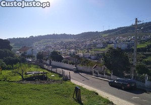 imagem_1
