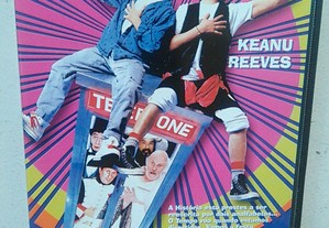 imagem_11