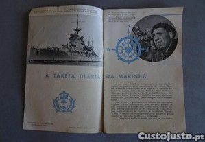 imagem_4