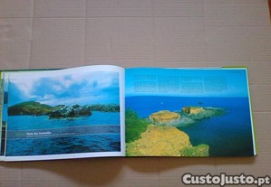 imagem_6