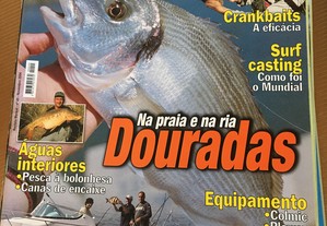 imagem_6