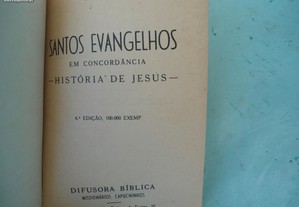 imagem_3