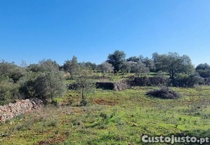 Terreno R�stico a 12min de Albufeira