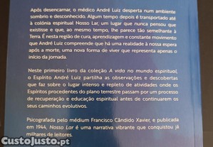 imagem_8