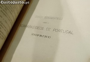 imagem_11