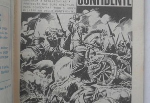 imagem_2