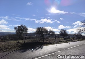 Terreno Rstico em Bragana - Oportunidade nica por 80.000 