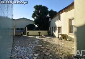 imagem_31