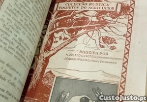 imagem_12