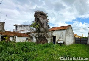 imagem_8