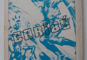 imagem_3