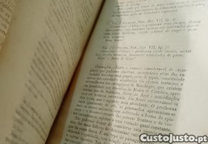 imagem_10