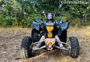 Moto 4 automática AEON COBRA 350 - 14