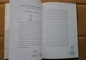 imagem_6