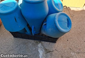imagem_1
