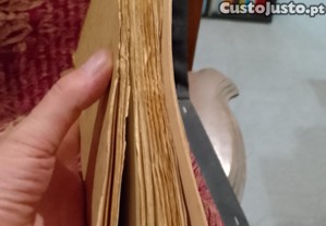 imagem_13