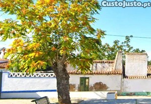 Casa de aldeia em ruina com projeto de arquitetura para reabilitao, em Monforte.