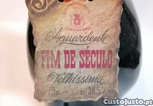 imagem_7