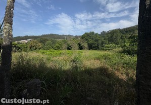 imagem_13