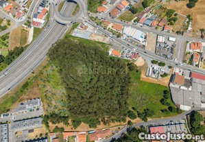 Terreno em Mozelos - 11.900m2