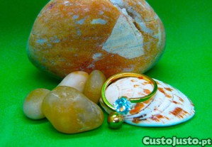 imagem_8