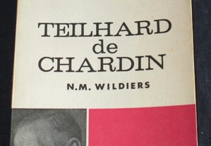 Livro Teilhard de Chardin Vida Pensamento Obra