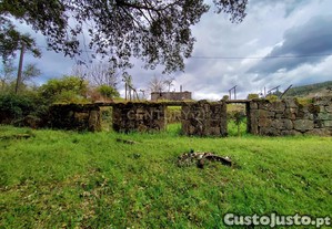 Belssima runa em terreno verdejante com vista deslumbrante para o Rio Douro, Baio, Porto