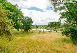Lote para construo Vila Nova de Santo Estevo ( Benavente )