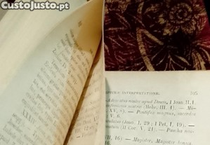 imagem_4