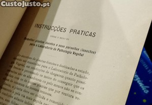 imagem_12