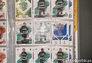 imagem_5