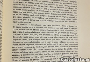 imagem_8