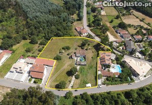 Quinta
