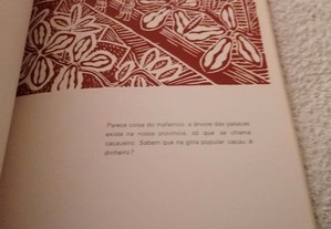 imagem_8