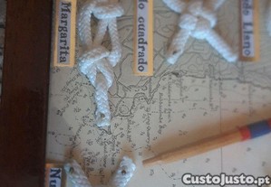 imagem_8