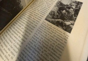 imagem_7