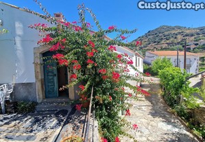 Quinta no Douro Vinhateiro