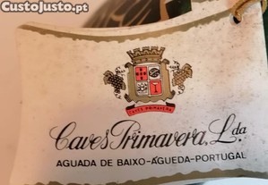 imagem_8