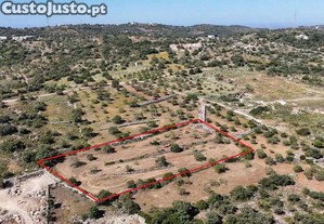 62.000  Terreno Rstico - Freguesia de Conceio e Estoi