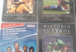 imagem_3