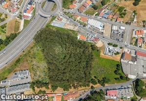 Terreno em Mozelos - 17.900m2