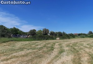 Terreno em Canas de Senhorim
