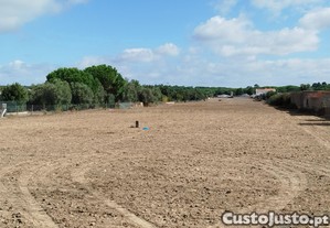 Terreno Em Santo Estevo ( Benavente ) com rea de 16. 338 M2 para a construo de Moradias .