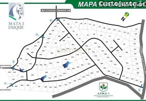 Terreno Mata do Duque I (Urbanizavel) Santo Estevo