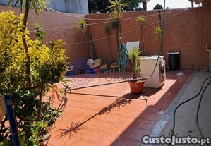 imagem_12