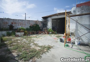 imagem_15