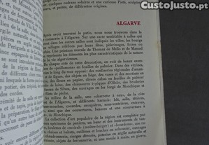 imagem_3
