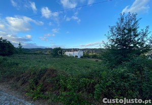 Excelente Terreno Plano de 3000m2 com tima exposio solar em Figueir dos Vinhos.