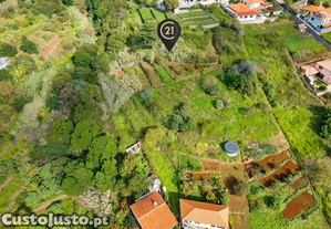 imagem_1